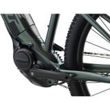 Talon E+ 1 29er XL Balsam Green M22