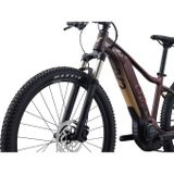 Tempt E+ 1 29er L Figuier  M23