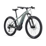 Tempt E+ 3 29er M Eucalyptus  M23