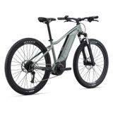 Tempt E+ 3 29er M Eucalyptus  M23