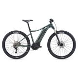 Talon E+ 1 29er L Balsam Green M24