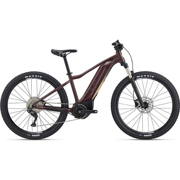 Tempt E+ 1 29er M Figuier  M23